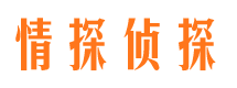 内乡市婚外情调查